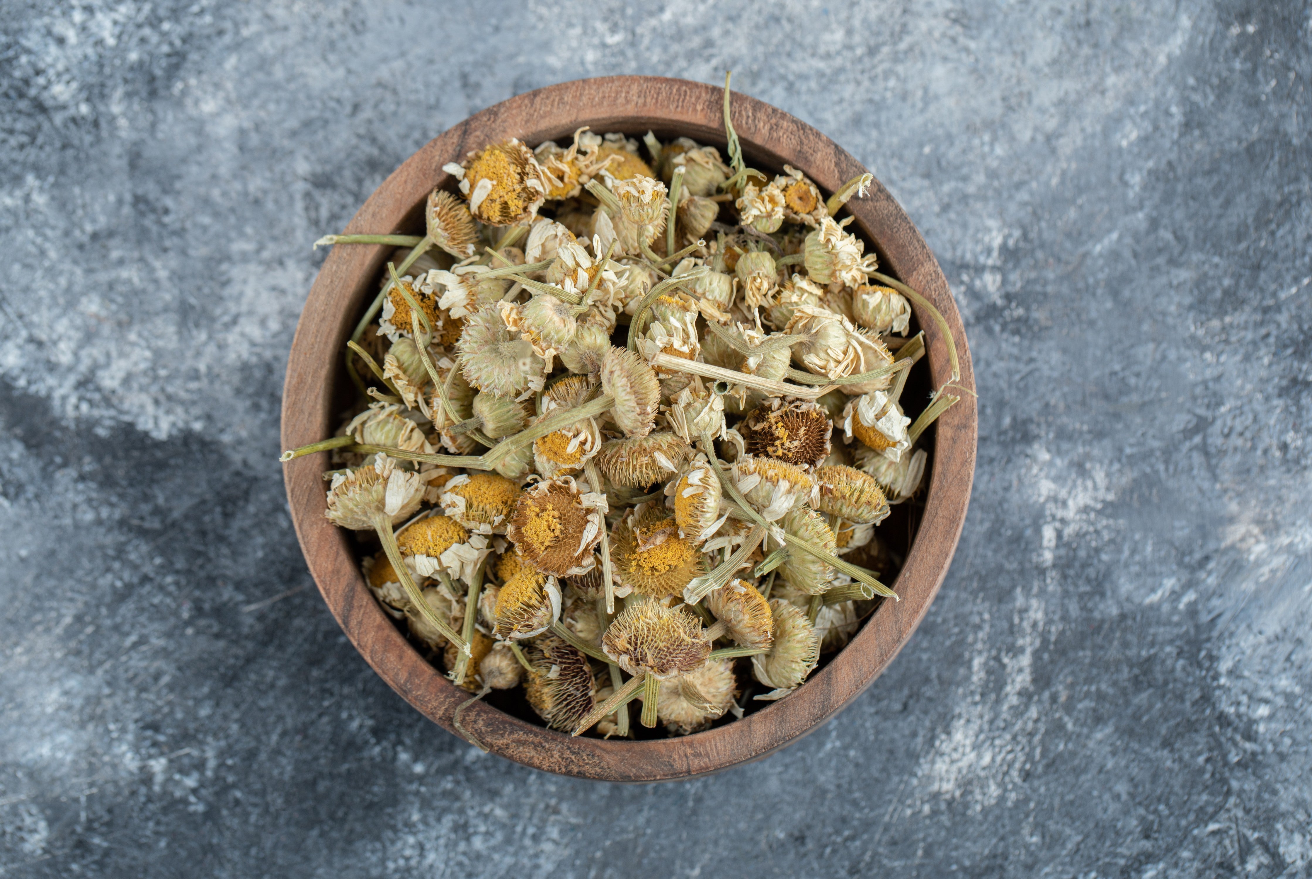 Arctic Chamomile Bloom